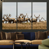 42170220-MGV-CV-36X24-Elk Herd Wall Art Canvas Print, Framed Wildlife Photography Art Picture Print, Majestic Antlers Perfect Rustic Wildlife Decor