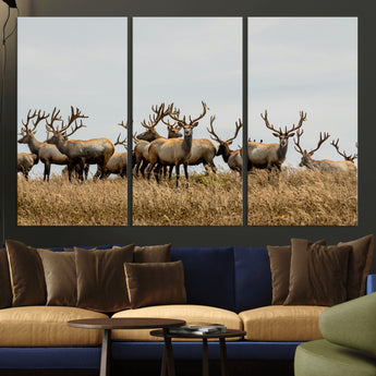 42170220-MGV-CV-36X24-Elk Herd Wall Art Canvas Print, Framed Wildlife Photography Art Picture Print, Majestic Antlers Perfect Rustic Wildlife Decor