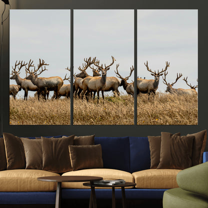 42170220-MGV-CV-36X24-Elk Herd Wall Art Canvas Print, Framed Wildlife Photography Art Picture Print, Majestic Antlers Perfect Rustic Wildlife Decor