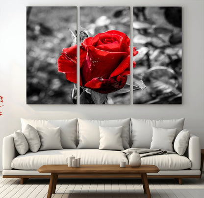 84671-MGV-CV-36X24-Red Rose Wall Art – Vibrant Single Bloom Canvas Print with Black and White Background, Elegant Floral Decor for Living Room,