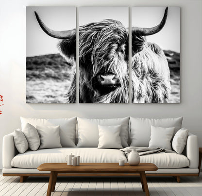 36979-MGV-CV-36X24-Striking black-and-white portrait of a Highland cow with flowing fur and majestic horns, perfect for rustic and elegant home or