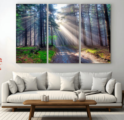 42047-MGV-CV-36X24-Sunlit Forest Path Wall Art – Nature Canvas Print, Serene Woodland Landscape, Perfect Home & Office Decor for Calm and Tranquil