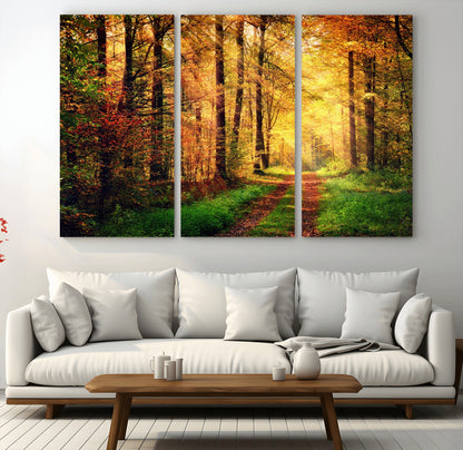 73494-MGV-CV-36X24-Golden Autumn Forest Path Wall Art – Sunlit Woodland Canvas Print, Fall Nature Landscape Home Decoration