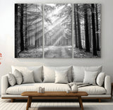 39665-MGV-CV-36X24-Black and White Forest Path Wall Art – Sunlight Rays in Trees Canvas Print, Nature Landscape Decor for Living Room or Office