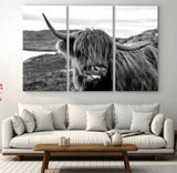 83810-MGV-CV-36X24-Highland Cow Wall Art – Black and White Highland Cattle Print, Rustic Farmhouse Animal Decor for Living Room