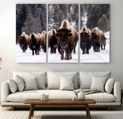 66871-MGV-CV-36X24-Bison Herd Wall Art – Wildlife Buffalo Canvas Print, Rustic Western Nature Photography Decor for Living Room, Office, Cabin, or