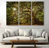 57983-MGV-CV-36X24-Angel Oak Tree Wall Art Canvas Print, Framed Oak Tree Art Picture Print, Angel Oak Perfect Rustic Nature Decor Artwork