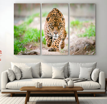75066-MGV-CV-36X24-Leopard Wall Art Canvas Print, Framed Wild Animal Art Picture Print, Blue Eye Leopard Perfect Wild Minimal Decor Artwork