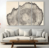 98921313-MGV-CV-36X24-Tree Ring Wall Art Canvas Print, Framed Wood Slice Art Picture Print, Minimalist Wood Perfect Rustic Academic Decor Artwork