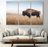 91267849-MGV-CV-36X24-Wild Bison Wall Art Canvas Print, Framed Bison in Prairie Art Picture Print, Rustic Western Perfect Rustic Western Decor Artwork