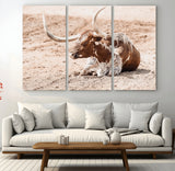 91248682-MGV-CV-36X24-Texas Longhorn Wall Art Canvas Print, Framed Resting Bull Art Picture Print, Spotted Cattle Perfect Rustic Western Decor Artwork