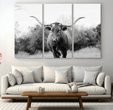 97280319-MGV-CV-36X24-Longhorn Photography Wall Art Canvas Print, Framed Western Cow Decor Art Picture Print, Texas Ranch Style Perfect Rustic Farmhouse