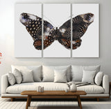 99831147-MGV-CV-36X24-Spotted Butterfly Wall Art Canvas Print, Framed Neutral Insect Theme Art Picture Print, Earthy Wing Pattern Perfect Modern Rustic