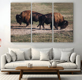 58141885-MGV-CV-36X24-Bison Photography Wall Art Canvas Print, Framed Western Wildlife Art Picture Print, Modern Ranch Perfect Western Rustic Decor