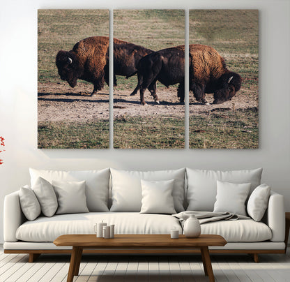58141885-MGV-CV-36X24-Bison Photography Wall Art Canvas Print, Framed Western Wildlife Art Picture Print, Modern Ranch Perfect Western Rustic Decor