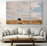 22754563-MGV-CV-36X24-Earthy Tones Wall Art Canvas Print, Framed Rustic Nature Art Picture Print, Solitary Buffalo Perfect Western Minimalist Decor