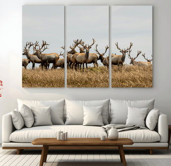 42170220-MGV-CV-36X24-Elk Herd Wall Art Canvas Print, Framed Wildlife Photography Art Picture Print, Majestic Antlers Perfect Rustic Wildlife Decor