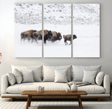 61161423-MGV-CV-36X24-Running Bison Herd Wall Art – Winter Buffalo Canvas Print, Wildlife Photography Decor for Rustic Living Room, Farmhouse, Lodge,