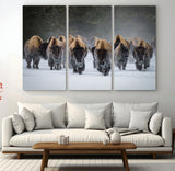 30332489-MGV-CV-36X24-Winter Bison Herd Wall Art – Powerful Buffalo Canvas Print, Rustic Wildlife Photography Decor for Farmhouse, Cabin, Lodge, Living