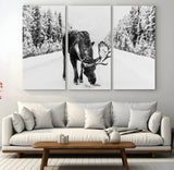 38956835-MGV-CV-36X24-Moose Winter Snowy Forest Canvas Wall Art – Wildlife Nature, Antlers in Frozen Landscape, Quiet Path, Cold Season Outdoors Print