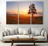 57919623-MGV-CV-36X24-Golden Sunrise Landscape Canvas Wall Art - Framed Misty Field Print, Large Nature Canvas for Living Room, Office, or Home Decor