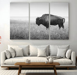90861202-MGV-CV-36X24-Black and White Bison Canvas Wall Art – Rustic American Buffalo Print, Western Wildlife Photography for Farmhouse, Cabin, Office