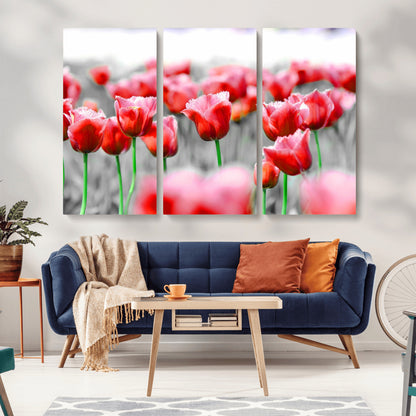 44554-MGV-CV-36X24-Vibrant red tulips stand out beautifully against a black-and-white background, making a striking decor piece perfect for any home