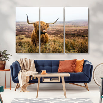 79391-MGV-CV-36X24-Majestic Highland Cow in Misty Scottish Moorland – Rustic Natural Charm, Perfect for Unique Home or Office Decor