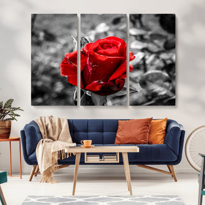 84671-MGV-CV-36X24-Red Rose Wall Art – Vibrant Single Bloom Canvas Print with Black and White Background, Elegant Floral Decor for Living Room,