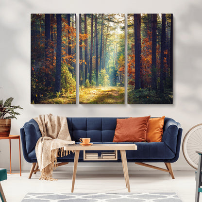 86249-MGV-CV-36X24-Sunlit Autumn Forest Path Wall Art – Peaceful Nature Scene with Fall Foliage, Calming Woods Decor for Home or Office