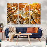 11823-MGV-CV-36X24-Golden Autumn Tree Canopy Wall Art – Stunning Fall Forest Leaves Print, Warm Seasonal Nature Decor for Home, Office or Cabin