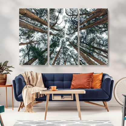 18790-MGV-CV-36X24-Pine Canopy Wall Art – Panoramic View of Towering Pines Canvas Print, Nature-Inspired Decor for Office, Cabin or Living Room