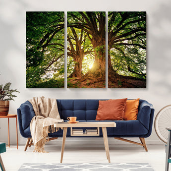52150-MGV-CV-36X24-Majestic Tree Wall Art – Large Nature Canvas Print with Sunlight Through Branches, Rustic Forest Decor for Living Room, Bedroom or