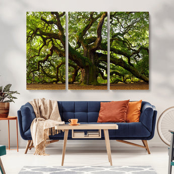 29407-MGV-CV-36X24-Ancient Oak Tree Wall Art – Majestic Nature Canvas Print, Large Tree Photography Decor for Living Room