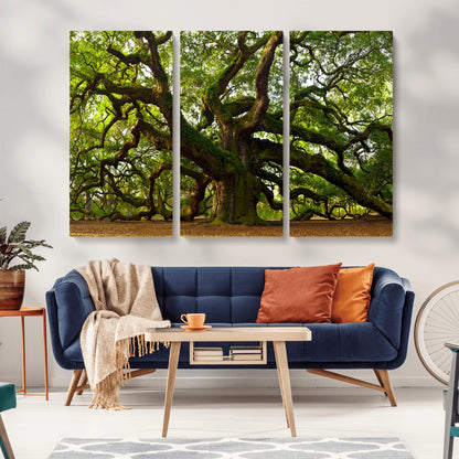 29407-MGV-CV-36X24-Ancient Oak Tree Wall Art – Majestic Nature Canvas Print, Large Tree Photography Decor for Living Room