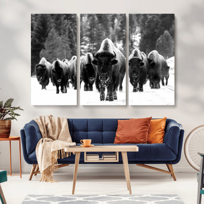 62434-MGV-CV-36X24-Bison Herd Wall Art – Majestic Black and White Buffalo Canvas Print, Wildlife Nature Photography Decor for Living Room, Office or
