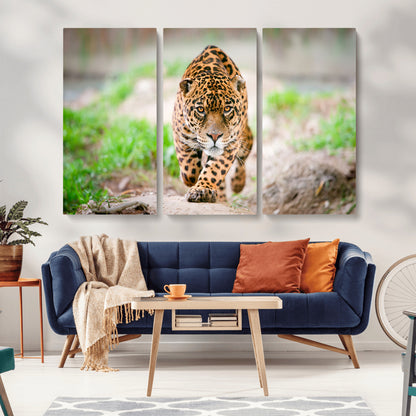 75066-MGV-CV-36X24-Leopard Wall Art Canvas Print, Framed Wild Animal Art Picture Print, Blue Eye Leopard Perfect Wild Minimal Decor Artwork