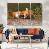 25085-MGV-CV-36X24-Sleeping Fox Wall Art Canvas Print, Framed Rustic Fox Art Picture Print, Wildlife Animal Perfect Rustic Farmhouse Decor Artwork