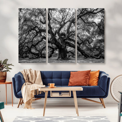 132944706-MGV-CV-36X24-Ancient Tree Wall Art – Black and White Photography Canvas Print Featuring Majestic Twisting Branches, Rustic Nature Artwork for