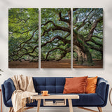 MGV-CV-48X32-3P - Historic Tree Wall Art Canvas Print, Framed Mossy Tree Art Picture Print, Twisted Branches Perfect Nature Southern Decor Artwork