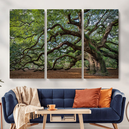 MGV-CV-48X32-3P - Historic Tree Wall Art Canvas Print, Framed Mossy Tree Art Picture Print, Twisted Branches Perfect Nature Southern Decor Artwork