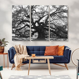 81655611-MGV-CV-36X24-Ancient Oak Wall Art Canvas Print, Framed Twisted Branches Art Picture Print, Gnarled Tree Perfect Moody Nature Decor Artwork