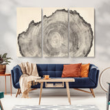 98921313-MGV-CV-36X24-Tree Ring Wall Art Canvas Print, Framed Wood Slice Art Picture Print, Minimalist Wood Perfect Rustic Academic Decor Artwork