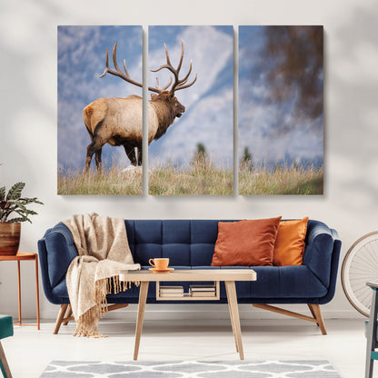 26365841-MGV-CV-36X24-Mountain Elk Art Wall Art Canvas Print, Framed Rustic Wildlife Print Art Picture Print, Lodge Style Decor Perfect Rustic Lodge