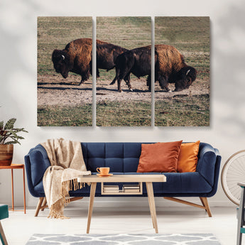 58141885-MGV-CV-36X24-Bison Photography Wall Art Canvas Print, Framed Western Wildlife Art Picture Print, Modern Ranch Perfect Western Rustic Decor