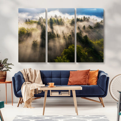 14785710-MGV-CV-36X24-Tranquil Forest Scene Wall Art Canvas Print, Framed Sunbeam Through Trees Art Picture Print, Moody Green Wall Art Perfect