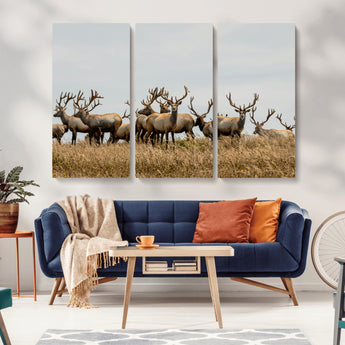 42170220-MGV-CV-36X24-Elk Herd Wall Art Canvas Print, Framed Wildlife Photography Art Picture Print, Majestic Antlers Perfect Rustic Wildlife Decor