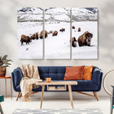 38217250-MGV-CV-36X24-Bison Herd Wall Art – Wildlife Canvas Print of Buffalo Winter Snow Scene, Rustic Western Lodge Décor, Farmhouse & Cabin Nature