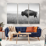 90861202-MGV-CV-36X24-Black and White Bison Canvas Wall Art – Rustic American Buffalo Print, Western Wildlife Photography for Farmhouse, Cabin, Office