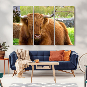 68411138-MGV-CV-36X24-Farmhouse Wall Art – Highland Cow Canvas Print, Rustic Country Cattle Photography Decor for Bedroom, Living Room, Office, Ranch,